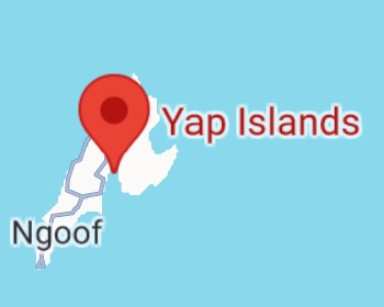 img.jpg